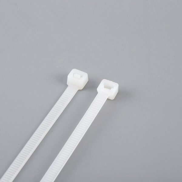 Self-locking Nylon Cable Ties - 图片 2