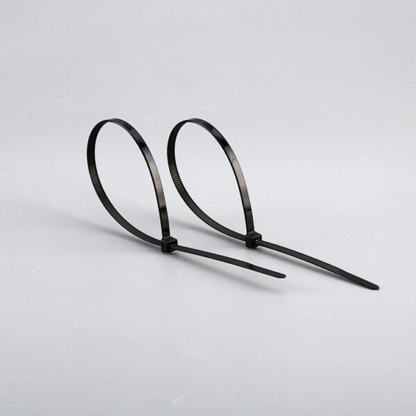 Self-locking Nylon Cable Ties